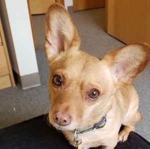 Meet your Posher, Alex